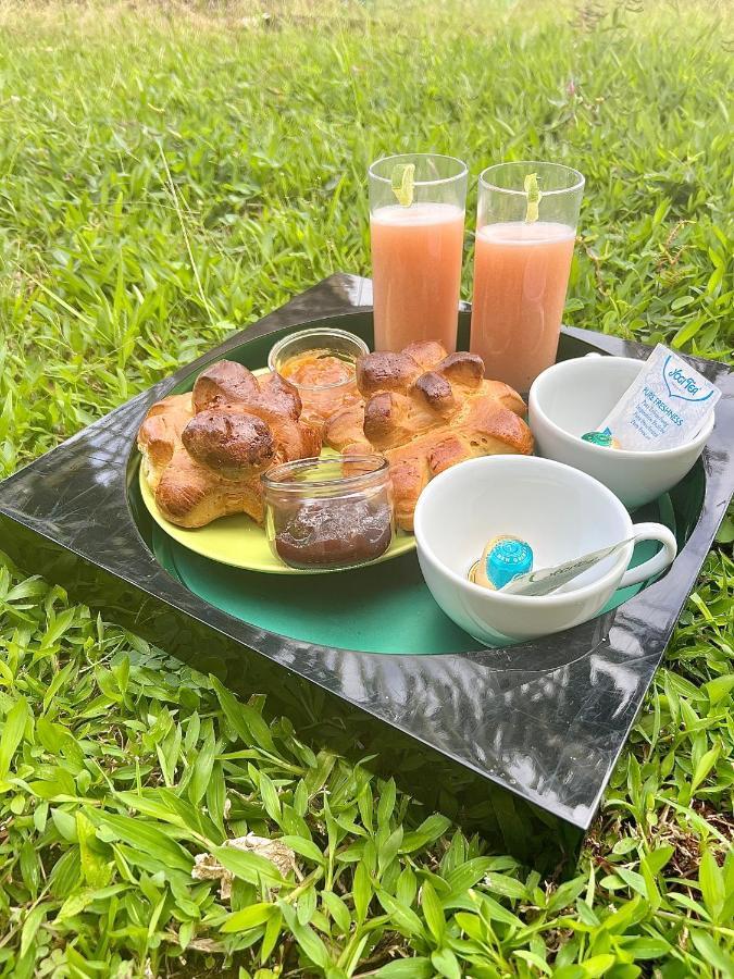 Charmant Bungalow Avec Piscine Saint-Joseph Ngoại thất bức ảnh